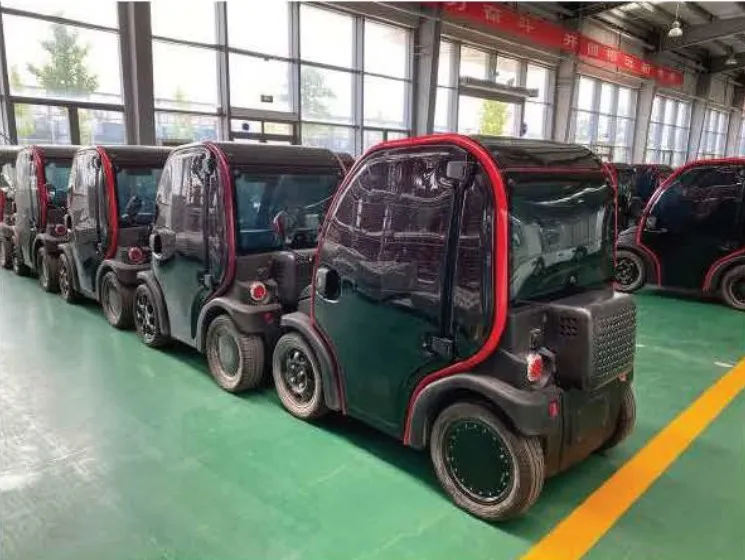Low Speed Electric Vehicle Application